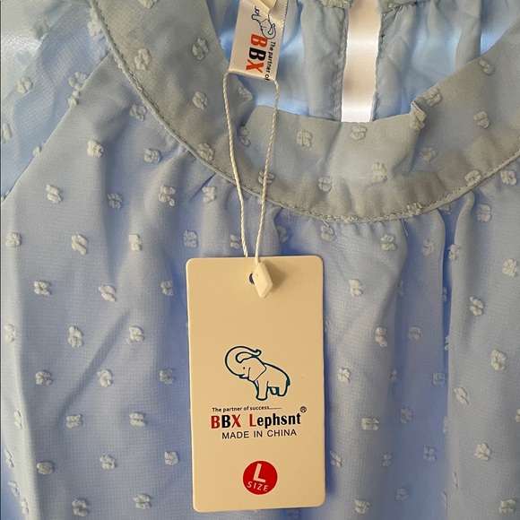 Light Blue Sheer Dotted Swiss Dress - Picture 2 of 3